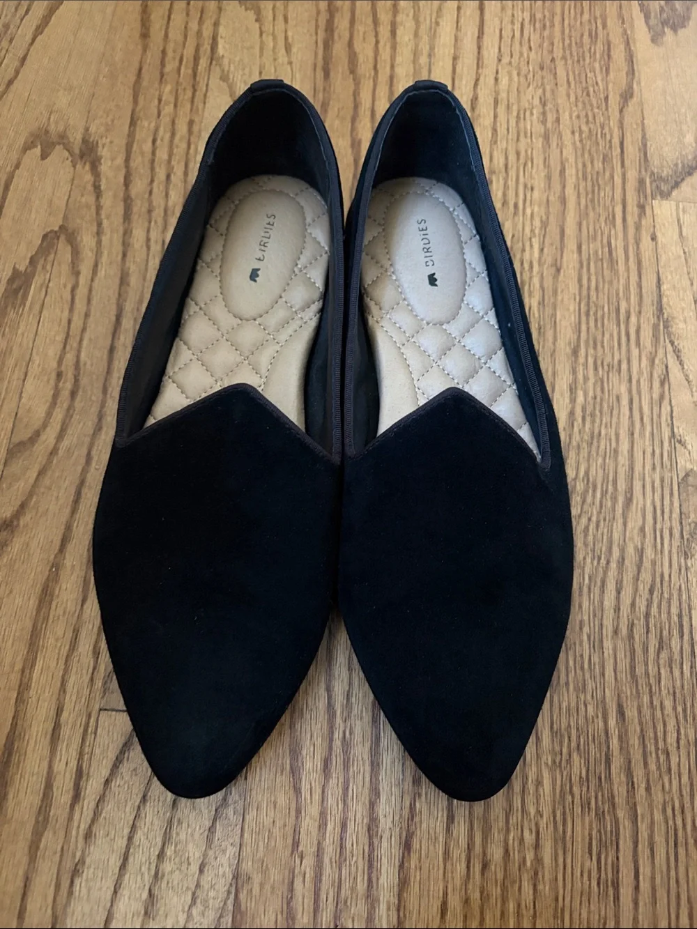 Birdies Black Velvet Pointed Toe Loafers